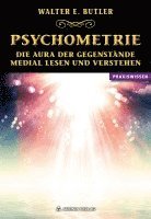 bokomslag Psychometrie