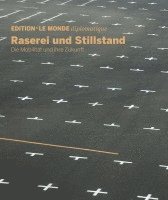 bokomslag Raserei und Stillstand