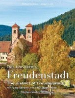 bokomslag Der Landkreis Freudenstadt