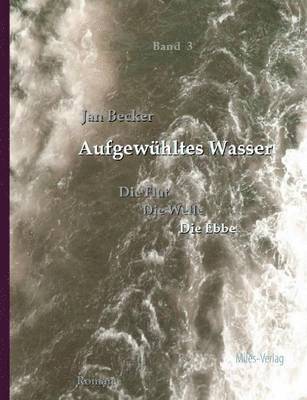 bokomslag Aufgewuhltes Wasser