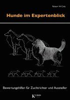 Hunde im Expertenblick 1