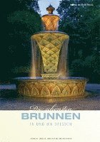 bokomslag Die schönsten Brunnen in und um Dresden