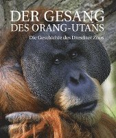 bokomslag Der Gesang des Orang-Utans