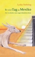 Lydia Nehring - Es wird Tag in Mexiko, Häftad