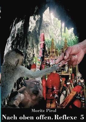 Nach oben offen. Reflexe 5