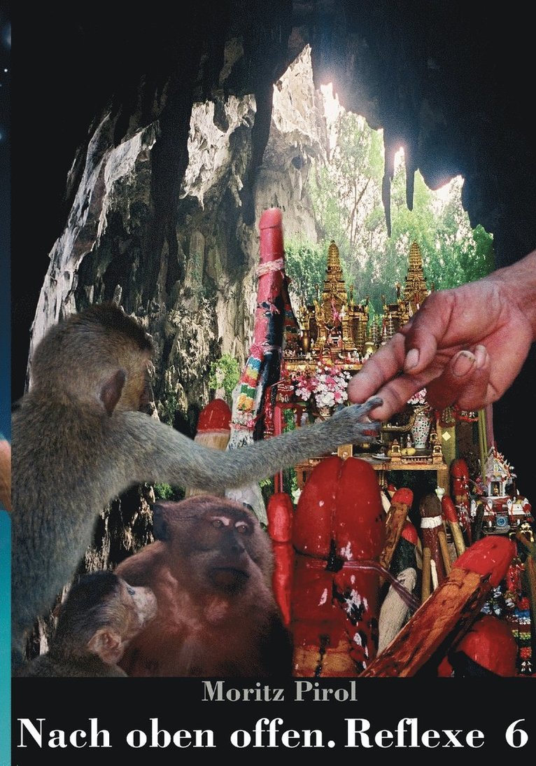 Moritz Pirol - Nach oben offen. Reflexe 6, Häftad