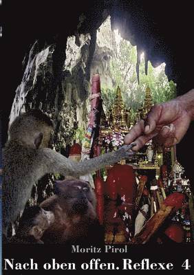 Nach oben offen. Reflexe 4