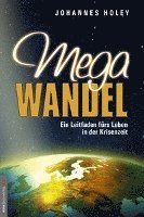 Johannes Holey - Megawandel, Inbunden