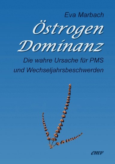 bokomslag Östrogen-Dominanz