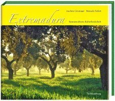 Extremadura 1