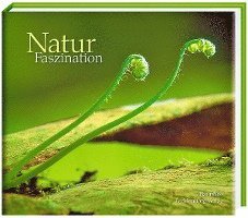 Natur Faszination 1