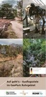 bokomslag Auf geht's - Ausflugsziele im GeoPark Ruhrgebiet