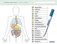 bokomslag Ich kenne meinen Körper - Die inneren Organe