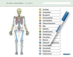 bokomslag Ich kenne meinen Körper - Das Skelett