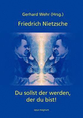 bokomslag Friedrich Nietzsche