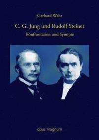 bokomslag C. G. Jung und Rudolf Steiner