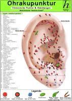 Ohrakupunktur - chinesische Punkte & Abbildungen 1