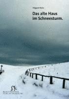 Das alte Haus im Schneesturm