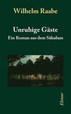 Wilhelm Raabe - Unruhige Gäste, Häftad