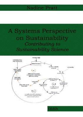 A Systems Perspective on Sustainability 1