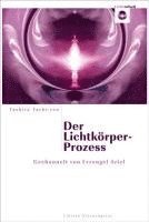 bokomslag Der Lichtkörper-Prozess