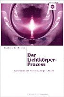 Der Lichtkörper-Prozess, Häftad