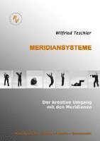 bokomslag Meridiansysteme