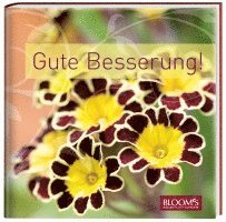 Gute Besserung!, Inbunden