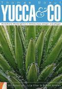 Yucca & Co 1