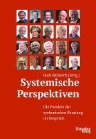 bokomslag Systemische Perspektiven