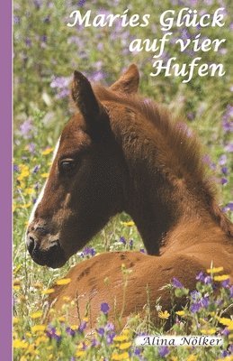 bokomslag Maries Glück auf vier Hufen