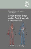 bokomslag Behandlungspfade in der Gefäßmedizin