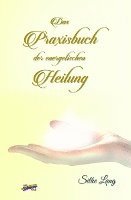 bokomslag Das Praxisbuch der energetischen Heilung