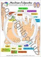 bokomslag Meridianendpunkte Lehrkarte DIN A4