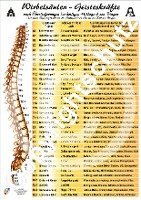 Wirbelsäulen-Geisteskräfte Übersichtskarte DIN A4 1
