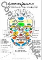 bokomslag Gesichtsreflexzonen
