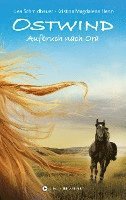 Kristina Magdalena Henn, Lea Schmidbauer - Ostwind 03 - Aufbruch nach Ora, Inbunden
