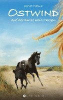 Lea Schmidbauer - Ostwind 04 - Auf der Suche nach Morgen, Inbunden