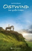 Lea Schmidbauer - Ostwind 06 - Der große Orkan, Inbunden