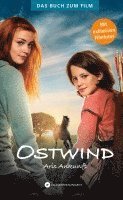 Sarah Bosse - Ostwind 05 - Aris Ankunft, Inbunden
