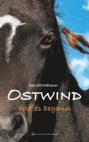 Lea Schmidbauer - OSTWIND - Wie es begann, Inbunden