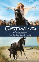 Lea Schmidbauer, Kristina Magdalena Henn - OSTWIND, Inbunden