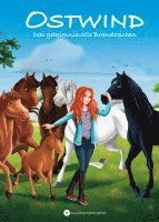 Thilo - OSTWIND - Das geheimnisvolle Brandzeichen, Inbunden