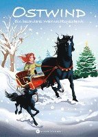 bokomslag Ostwind - Ein besonderes Weihnachtsgeschenk