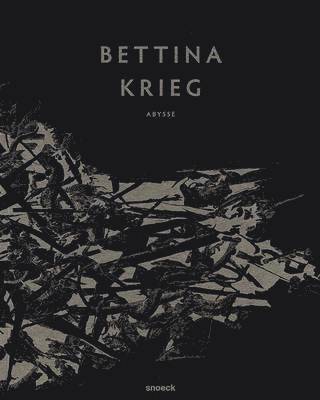 bokomslag Bettina Krieg