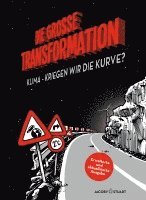 bokomslag Die große Transformation