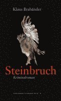 Steinbruch 1