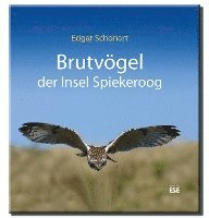 bokomslag Brutvögel der Insel Spiekeroog