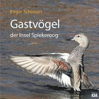 bokomslag Gastvögel der Insel Spiekeroog 01