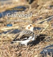 bokomslag Gastvögel der Insel Spiekeroog